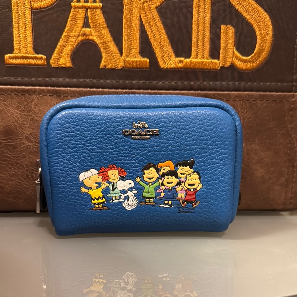 Coach Boxy Cosmetic - Mini X Peanuts